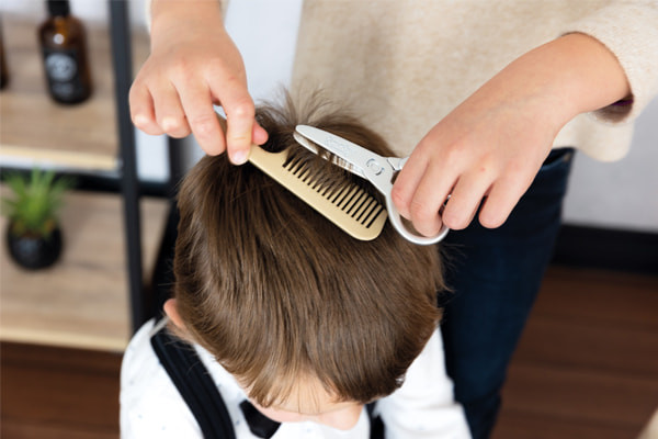 Accessoires waaronder een kam en schaar